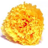 Day of the Dead Decorations Marigold Flower Image