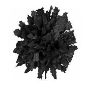 Day of the Dead Decorations Black Marigold Image