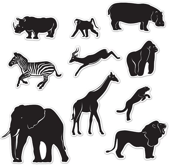 Safari Theme Party Supplies &amp; Decorations | Amols'